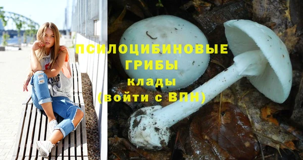 ПСИЛОЦИБИНОВЫЕ ГРИБЫ Лиски