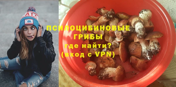 ПСИЛОЦИБИНОВЫЕ ГРИБЫ Лиски