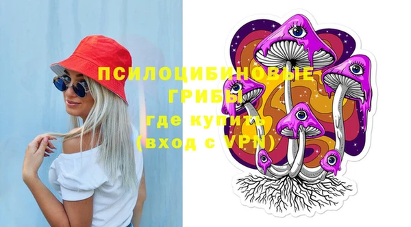 ПСИЛОЦИБИНОВЫЕ ГРИБЫ Лиски