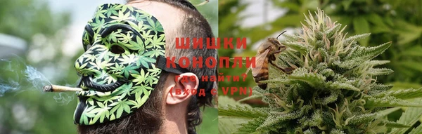 ПСИЛОЦИБИНОВЫЕ ГРИБЫ Лиски
