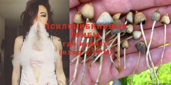ПСИЛОЦИБИНОВЫЕ ГРИБЫ Лиски